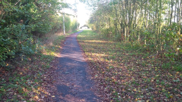 Lots of room here for a proper cycleway, as the path separates from the road behind a copse of trees.